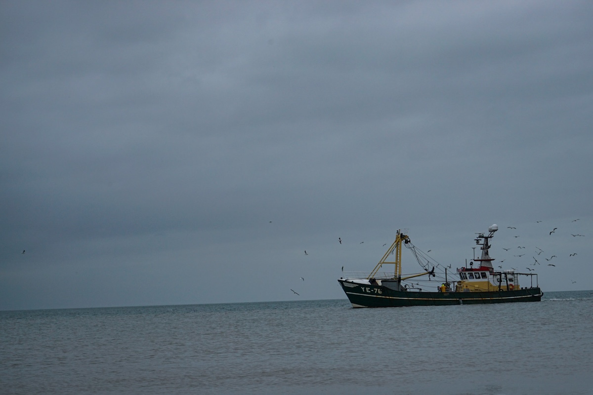Bild Fischkutter